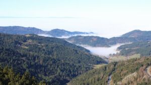 Dieses Bild zeigt eine Webcam-Aufnahme vom Achertal, aufgenommen am Mittwoch, den 25.02.2026 um 10:30 Uhr. Die Temperatur betrug 10.5°C.