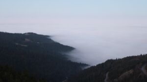 Dieses Bild zeigt eine Webcam-Aufnahme vom Achertal, aufgenommen am Sonntag, den 14.12.2025 um 07:50 Uhr. Die Temperatur betrug 5.6°C.