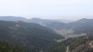 Dieses Bild zeigt eine Webcam-Aufnahme vom Achertal, aufgenommen am Samstag, den 15.11.2025 um 12:30 Uhr. Die Temperatur betrug 11.2°C.