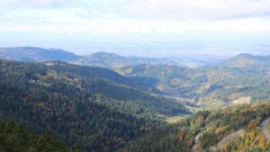 Dieses Bild zeigt eine Webcam-Aufnahme vom Achertal, aufgenommen am Mittwoch, den 15.10.2025 um 11:50 Uhr. Die Temperatur betrug 6.8°C.