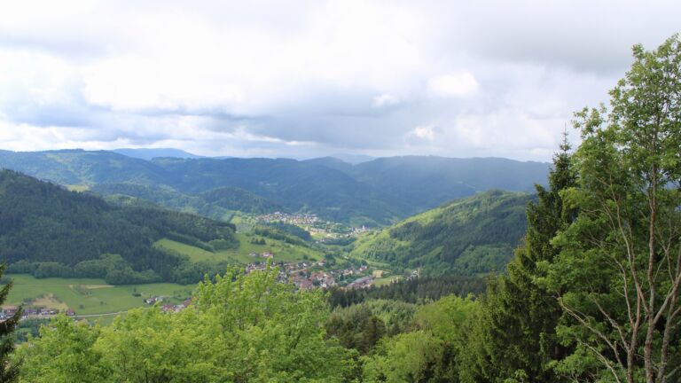 Dieses Bild zeigt eine Webcam-Aufnahme vom Achertal, aufgenommen am Freitag, den 15.05.2026 um 11:50 Uhr. Die Temperatur betrug 7.8°C.