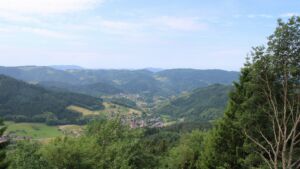 Dieses Bild zeigt eine Webcam-Aufnahme vom Achertal, aufgenommen am Mittwoch, den 17.06.2026 um 11:10 Uhr. Die Temperatur betrug 21.9°C.