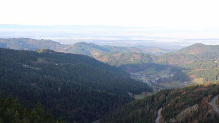 Dieses Bild zeigt eine Webcam-Aufnahme vom Achertal, aufgenommen am Mittwoch, den 12.11.2025 um 08:40 Uhr. Die Temperatur betrug 11.8°C.