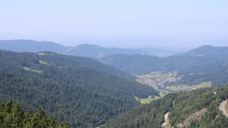 Dieses Bild zeigt eine Webcam-Aufnahme vom Achertal, aufgenommen am Montag, den 11.08.2025 um 12:40 Uhr. Die Temperatur betrug 21.3°C.