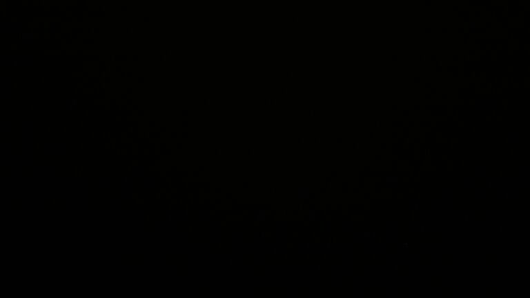 Dieses Bild zeigt eine Webcam-Aufnahme vom Achertal, aufgenommen am Montag, den 24.11.2025 um 23:00 Uhr. Die Temperatur betrug 0.4°C.