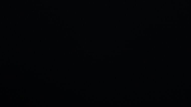 Dieses Bild zeigt eine Webcam-Aufnahme vom Achertal, aufgenommen am Donnerstag, den 07.05.2026 um 04:30 Uhr. Die Temperatur betrug 4.5°C.