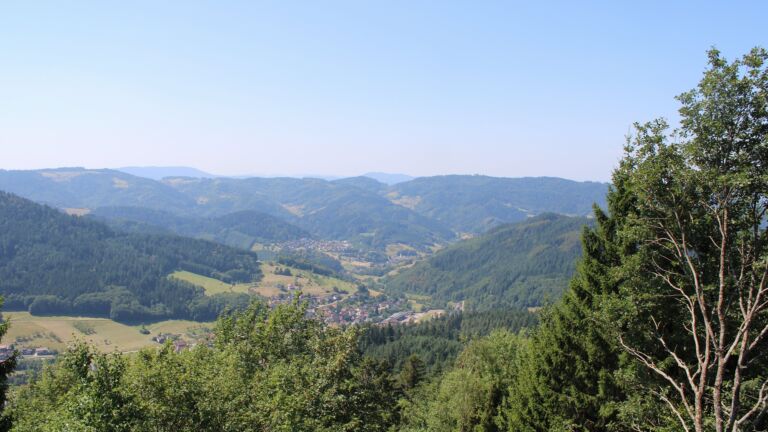 Dieses Bild zeigt eine Webcam-Aufnahme vom Achertal, aufgenommen am Mittwoch, den 29.07.2026 um 12:20 Uhr. Die Temperatur betrug 30.4°C.