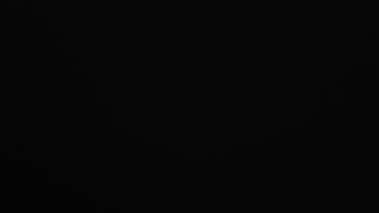 Dieses Bild zeigt eine Webcam-Aufnahme vom Achertal, aufgenommen am Mittwoch, den 26.11.2025 um 06:30 Uhr. Die Temperatur betrug -0.9°C.