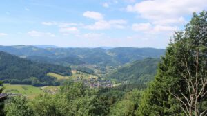 Dieses Bild zeigt eine Webcam-Aufnahme vom Achertal, aufgenommen am Montag, den 15.06.2026 um 11:50 Uhr. Die Temperatur betrug 15.6°C.