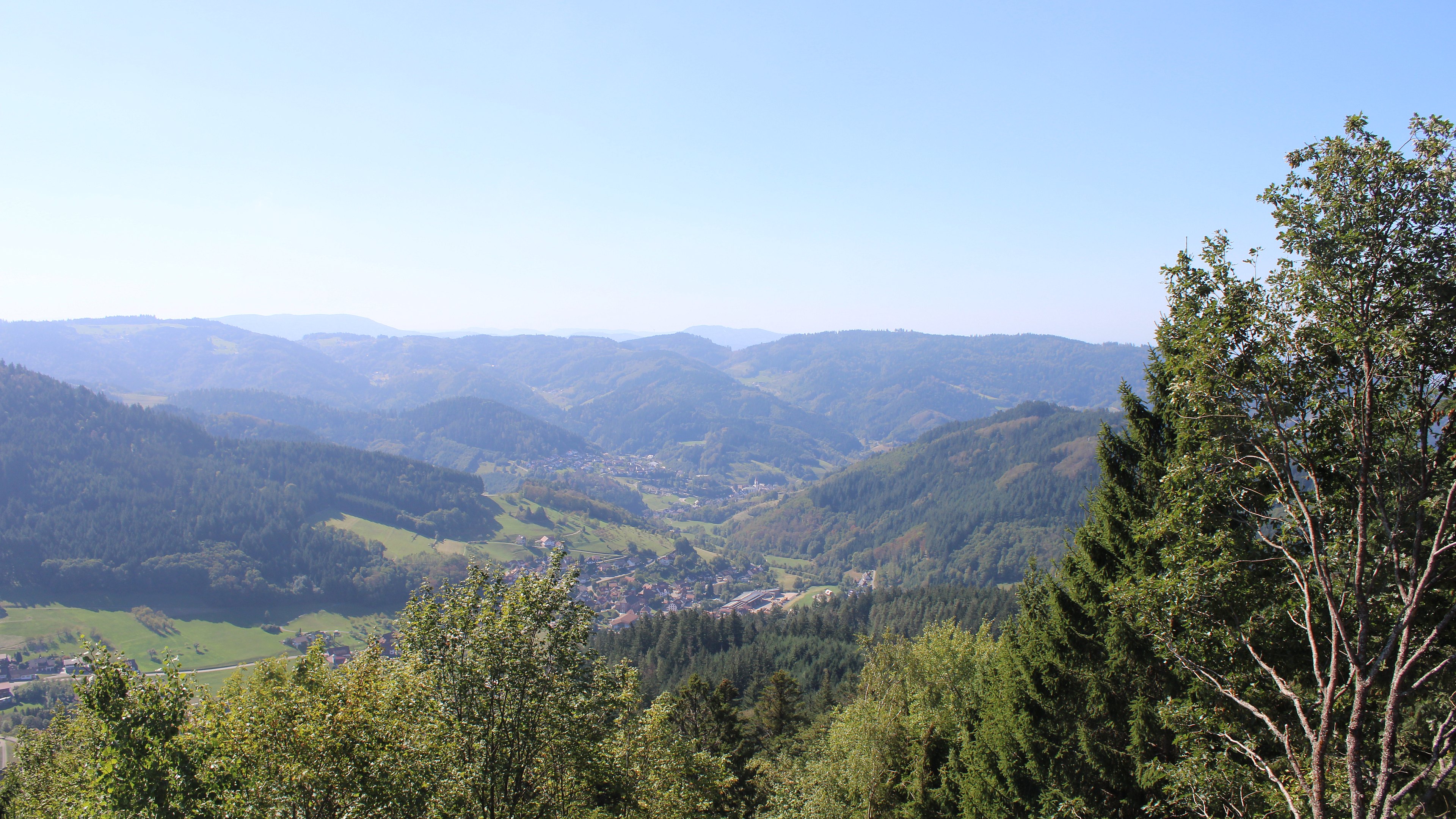 Zum Fotoarchiv vom Dienstag, 22. September 2026