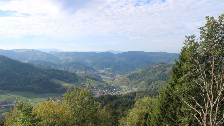 Dieses Bild zeigt eine Webcam-Aufnahme vom Achertal, aufgenommen am Freitag, den 16.10.2026 um 10:50 Uhr. Die Temperatur betrug 16.4°C.