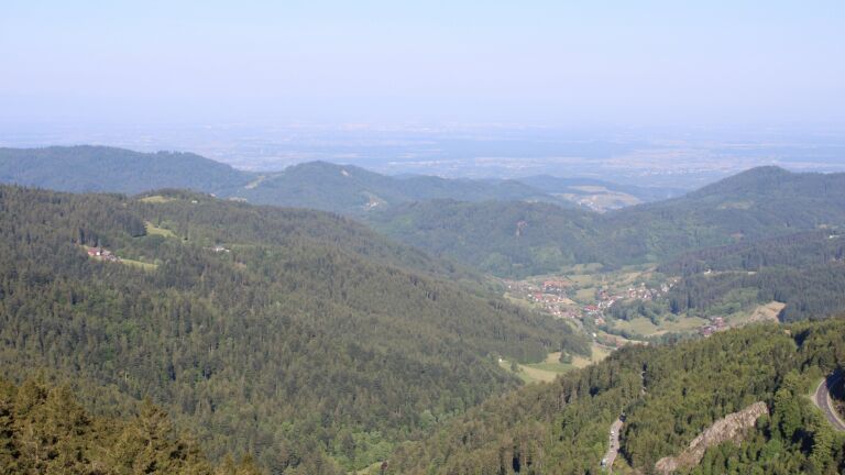 Dieses Bild zeigt eine Webcam-Aufnahme vom Achertal, aufgenommen am Montag, den 19.05.2025 um 08:50 Uhr. Die Temperatur betrug 10.8°C.