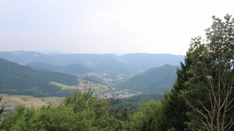 Dieses Bild zeigt eine Webcam-Aufnahme vom Achertal, aufgenommen am Freitag, den 31.07.2026 um 15:50 Uhr. Die Temperatur betrug 30.5°C.