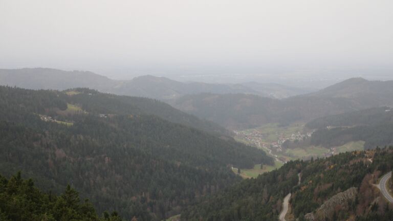 Dieses Bild zeigt eine Webcam-Aufnahme vom Achertal, aufgenommen am Freitag, den 14.11.2025 um 08:50 Uhr. Die Temperatur betrug 16.6°C.