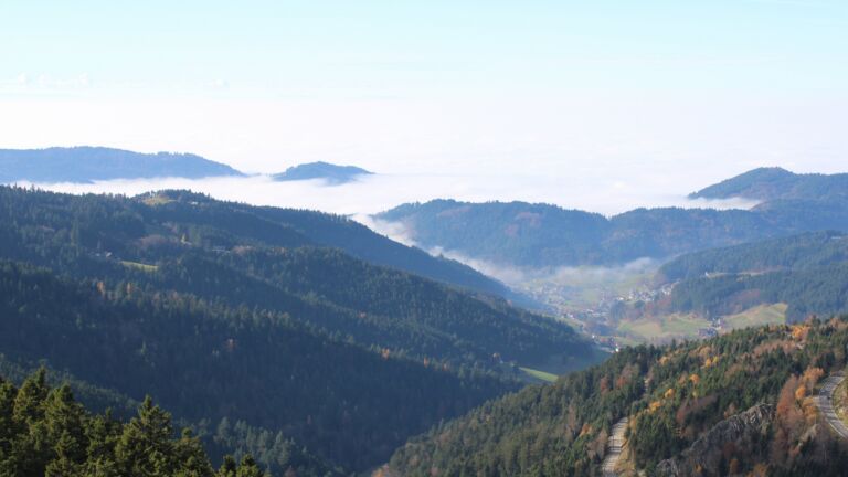 Dieses Bild zeigt eine Webcam-Aufnahme vom Achertal, aufgenommen am Samstag, den 08.11.2025 um 13:20 Uhr. Die Temperatur betrug 10.9°C.