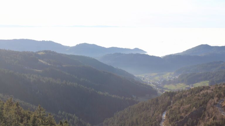 Dieses Bild zeigt eine Webcam-Aufnahme vom Achertal, aufgenommen am Mittwoch, den 25.02.2026 um 16:40 Uhr. Die Temperatur betrug 14.6°C.