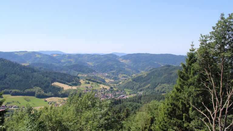 Dieses Bild zeigt eine Webcam-Aufnahme vom Achertal, aufgenommen am Samstag, den 20.06.2026 um 12:20 Uhr. Die Temperatur betrug 27.8°C.