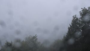 Dieses Bild zeigt eine Webcam-Aufnahme vom Achertal, aufgenommen am Donnerstag, den 08.10.2026 um 12:20 Uhr. Die Temperatur betrug 10.3°C.
