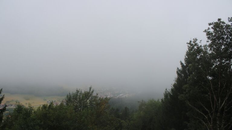 Dieses Bild zeigt eine Webcam-Aufnahme vom Achertal, aufgenommen am Samstag, den 22.08.2026 um 10:30 Uhr. Die Temperatur betrug 10.8°C.
