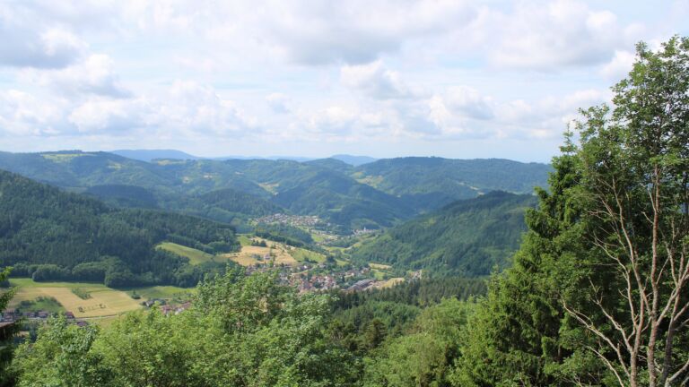 Dieses Bild zeigt eine Webcam-Aufnahme vom Achertal, aufgenommen am Montag, den 01.06.2026 um 11:50 Uhr. Die Temperatur betrug 18.2°C.