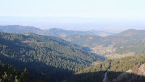 Dieses Bild zeigt eine Webcam-Aufnahme vom Achertal, aufgenommen am Freitag, den 27.02.2026 um 08:50 Uhr. Die Temperatur betrug 11.2°C.