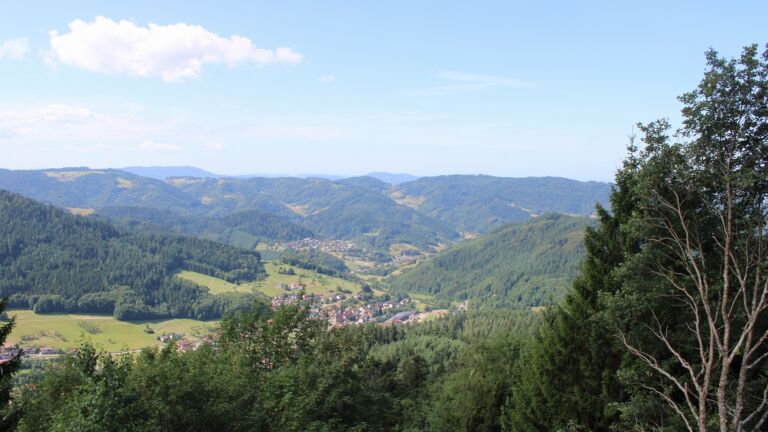 Dieses Bild zeigt eine Webcam-Aufnahme vom Achertal, aufgenommen am Montag, den 20.07.2026 um 11:10 Uhr. Die Temperatur betrug 17.4°C.