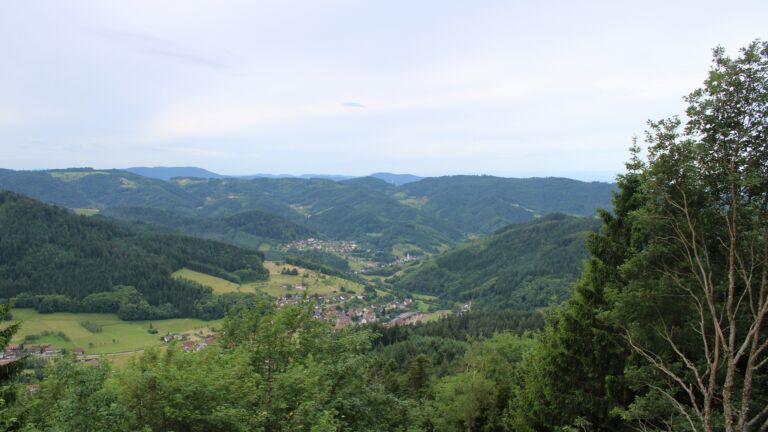 Dieses Bild zeigt eine Webcam-Aufnahme vom Achertal, aufgenommen am Mittwoch, den 10.06.2026 um 08:50 Uhr. Die Temperatur betrug 12°C.