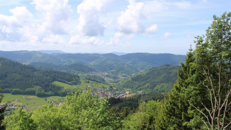 Dieses Bild zeigt eine Webcam-Aufnahme vom Achertal, aufgenommen am Donnerstag, den 21.05.2026 um 12:20 Uhr. Die Temperatur betrug 19.3°C.