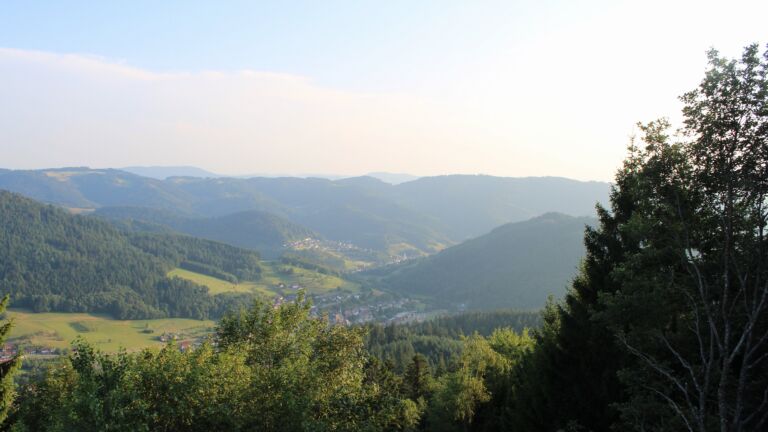 Dieses Bild zeigt eine Webcam-Aufnahme vom Achertal, aufgenommen am Samstag, den 18.07.2026 um 20:00 Uhr. Die Temperatur betrug 22.8°C.