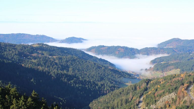 Dieses Bild zeigt eine Webcam-Aufnahme vom Achertal, aufgenommen am Samstag, den 08.11.2025 um 10:30 Uhr. Die Temperatur betrug 13.1°C.