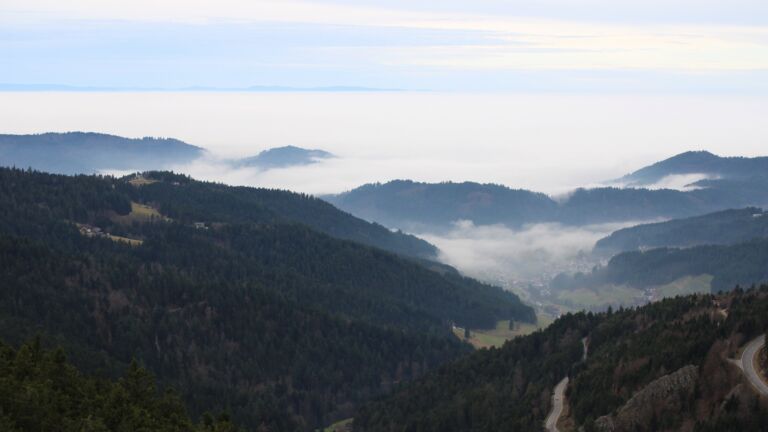 Dieses Bild zeigt eine Webcam-Aufnahme vom Achertal, aufgenommen am Dienstag, den 16.12.2025 um 14:30 Uhr. Die Temperatur betrug 10.8°C.