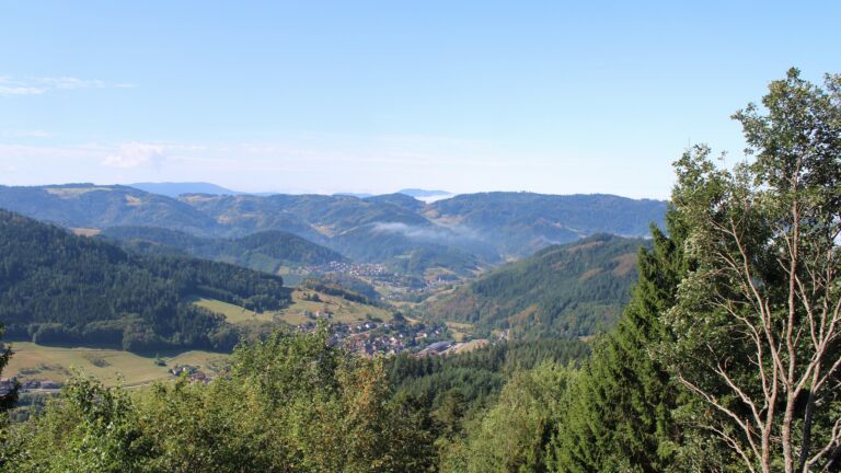 Dieses Bild zeigt eine Webcam-Aufnahme vom Achertal, aufgenommen am Mittwoch, den 26.08.2026 um 11:10 Uhr. Die Temperatur betrug 25.6°C.