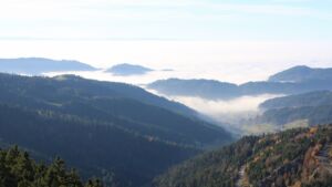 Dieses Bild zeigt eine Webcam-Aufnahme vom Achertal, aufgenommen am Freitag, den 07.11.2025 um 14:50 Uhr. Die Temperatur betrug 11.6°C.