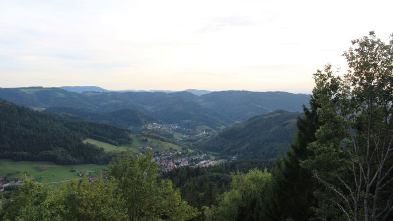 Dieses Bild zeigt eine Webcam-Aufnahme vom Achertal, aufgenommen am Donnerstag, den 17.09.2026 um 18:50 Uhr. Die Temperatur betrug 16.9°C.