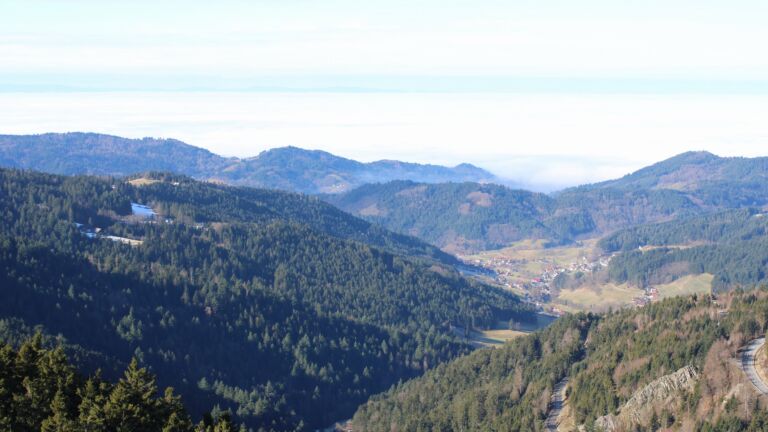 Dieses Bild zeigt eine Webcam-Aufnahme vom Achertal, aufgenommen am Donnerstag, den 05.02.2026 um 11:30 Uhr. Die Temperatur betrug 7.3°C.