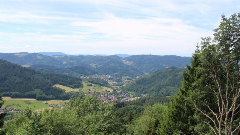 Dieses Bild zeigt eine Webcam-Aufnahme vom Achertal, aufgenommen am Freitag, den 03.07.2026 um 12:30 Uhr. Die Temperatur betrug 20.9°C.