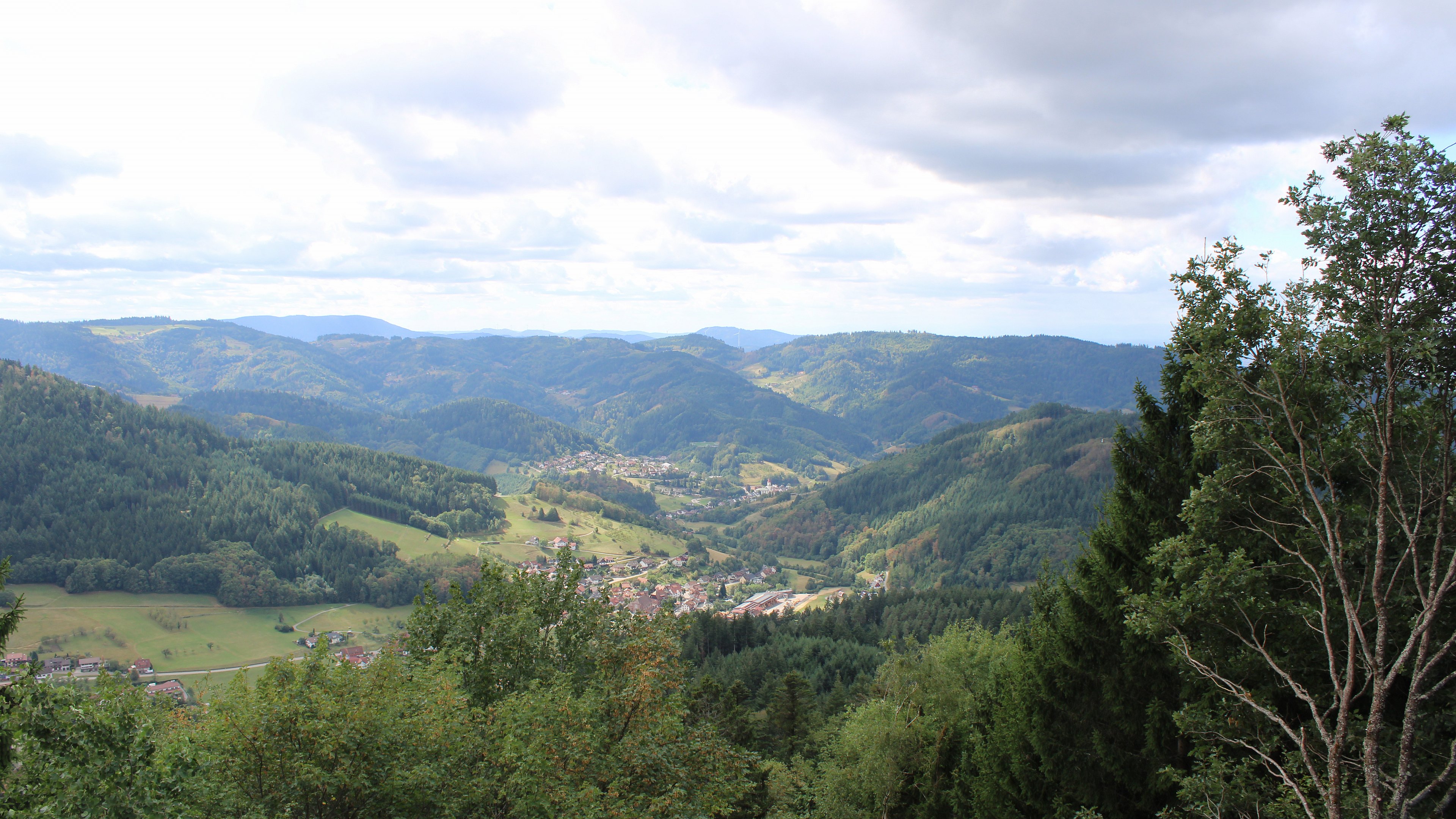 Zum Fotoarchiv vom Montag, 31. August 2026
