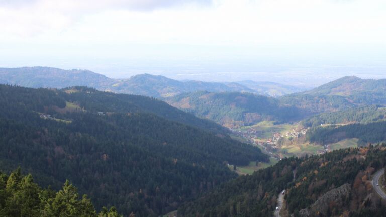 Dieses Bild zeigt eine Webcam-Aufnahme vom Achertal, aufgenommen am Dienstag, den 11.11.2025 um 12:20 Uhr. Die Temperatur betrug 7.1°C.