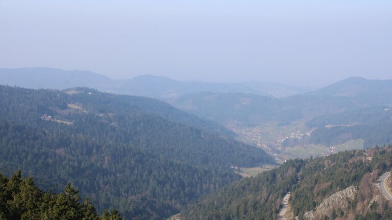 Dieses Bild zeigt eine Webcam-Aufnahme vom Achertal, aufgenommen am Sonntag, den 08.03.2026 um 10:50 Uhr. Die Temperatur betrug 14.1°C.