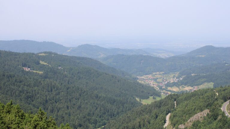 Dieses Bild zeigt eine Webcam-Aufnahme vom Achertal, aufgenommen am Samstag, den 14.06.2025 um 11:20 Uhr. Die Temperatur betrug 24.9°C.