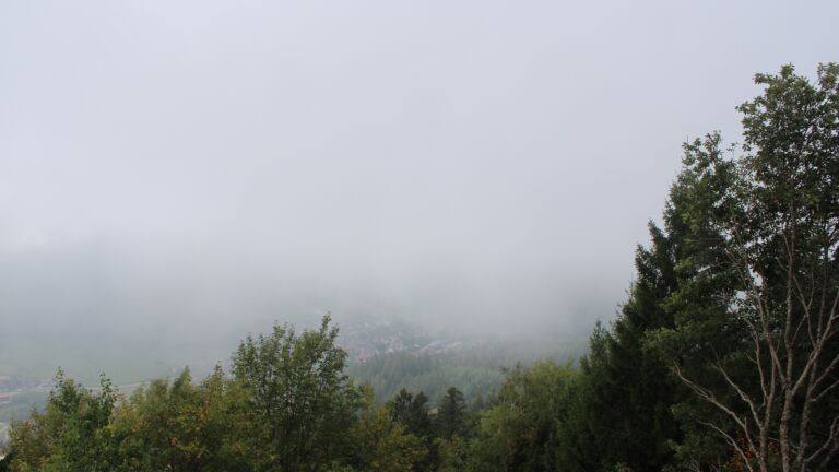 Dieses Bild zeigt eine Webcam-Aufnahme vom Achertal, aufgenommen am Freitag, den 02.10.2026 um 12:50 Uhr. Die Temperatur betrug 17.5°C.