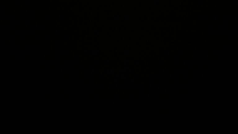 Dieses Bild zeigt eine Webcam-Aufnahme vom Achertal, aufgenommen am Mittwoch, den 24.09.2025 um 04:30 Uhr. Die Temperatur betrug 5.5°C.