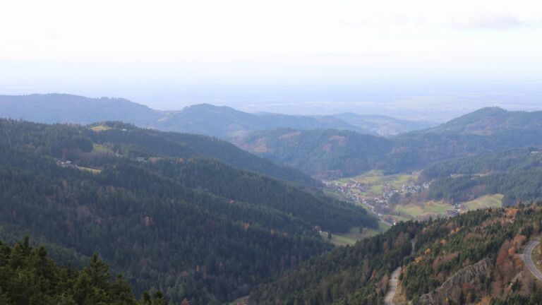 Dieses Bild zeigt eine Webcam-Aufnahme vom Achertal, aufgenommen am Dienstag, den 11.11.2025 um 14:00 Uhr. Die Temperatur betrug 7.8°C.