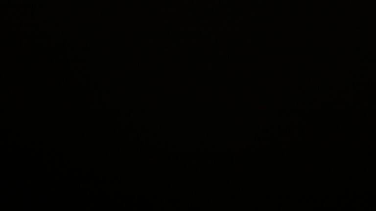 Dieses Bild zeigt eine Webcam-Aufnahme vom Achertal, aufgenommen am Freitag, den 26.09.2025 um 21:00 Uhr. Die Temperatur betrug 6.1°C.