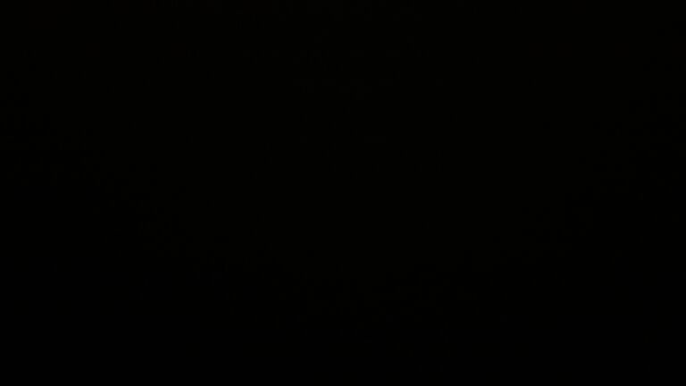 Dieses Bild zeigt eine Webcam-Aufnahme vom Achertal, aufgenommen am Sonntag, den 16.11.2025 um 20:30 Uhr. Die Temperatur betrug 6.1°C.