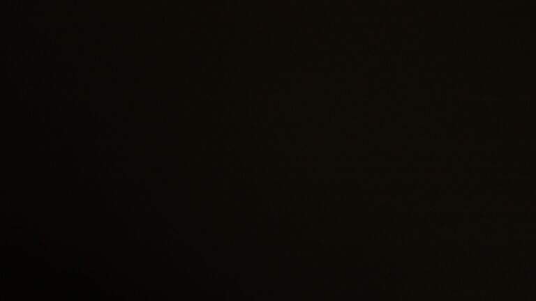 Dieses Bild zeigt eine Webcam-Aufnahme vom Achertal, aufgenommen am Montag, den 24.11.2025 um 19:30 Uhr. Die Temperatur betrug 0.4°C.