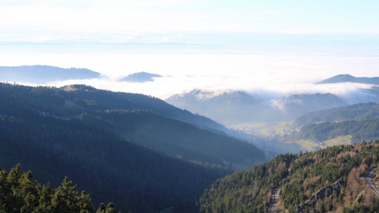 Dieses Bild zeigt eine Webcam-Aufnahme vom Achertal, aufgenommen am Mittwoch, den 03.12.2025 um 14:30 Uhr. Die Temperatur betrug 5.8°C.