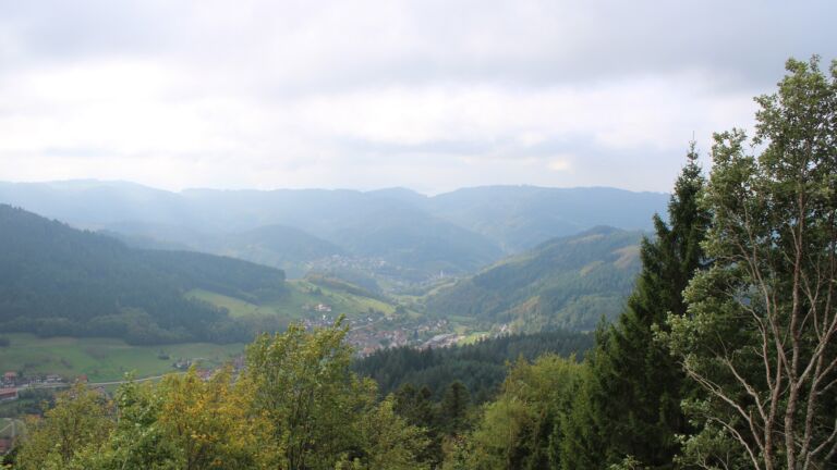 Dieses Bild zeigt eine Webcam-Aufnahme vom Achertal, aufgenommen am Montag, den 19.10.2026 um 12:50 Uhr. Die Temperatur betrug 11.4°C.