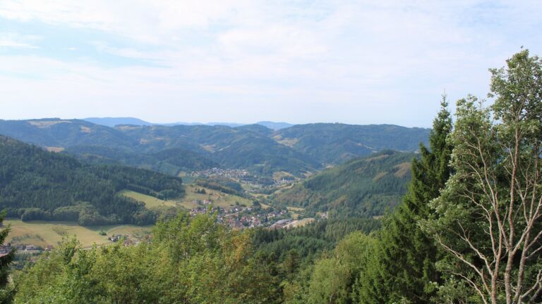 Dieses Bild zeigt eine Webcam-Aufnahme vom Achertal, aufgenommen am Montag, den 24.08.2026 um 12:10 Uhr. Die Temperatur betrug 20.3°C.