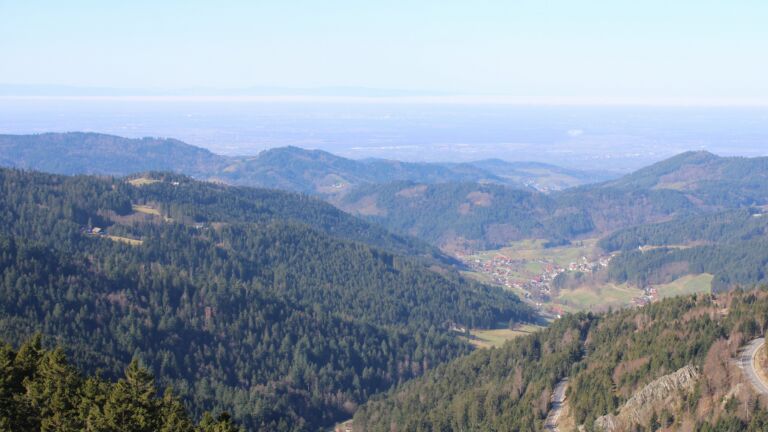 Dieses Bild zeigt eine Webcam-Aufnahme vom Achertal, aufgenommen am Donnerstag, den 26.02.2026 um 11:20 Uhr. Die Temperatur betrug 14°C.